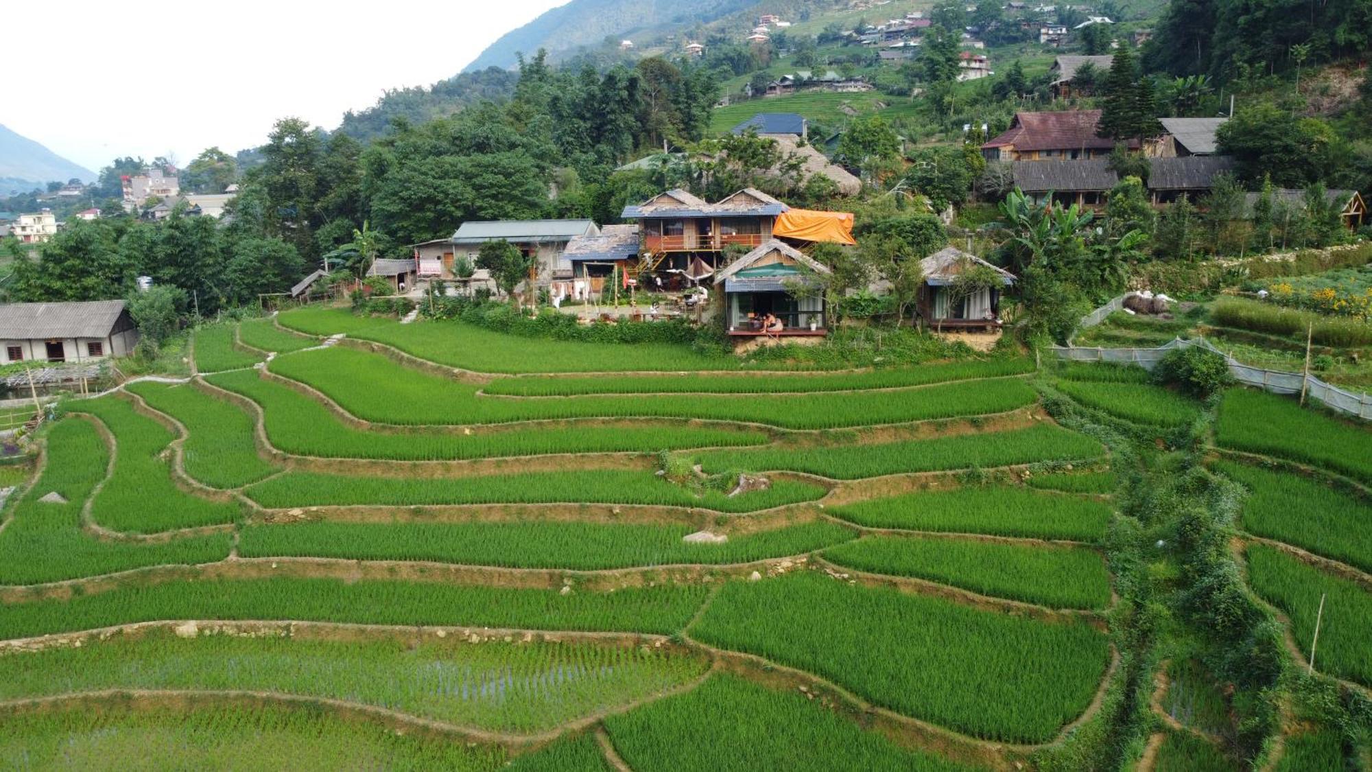 Goong House Guest House Sa Pa Ngoại thất bức ảnh